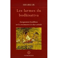 Les larmes du bodhisattva