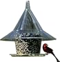 Arundale 360 Sky Cafe Wild Bird Feeder