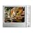 Archos 405 2 GB Portable Media Player (Silver)