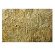 Young Stalacties, Mammoth Cave National Park, Cave City, Kentucky, USA Photographic Poster Print by Adam Jones, 48x36