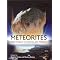 Ten scientific books on asteroids/comet impacts