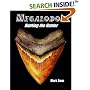 Megalodon: Hunting the Hunter