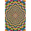 Psychedelic Pulse Optical Illusion Art Poster Print - 24x36 Collections Poster Print, 24x36