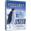 Pinguine - K�nige der Antarktis (2 DVD)