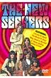 New Seekers - Live at the Albert Hall [DVD]