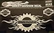Harley-Davidson&reg; Decal, Chromium, Large