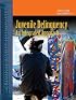 Juvenile Delinquency: An Integrated Approach (Criminal Justice Illuminated)