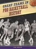 Great Teams in Pro Basketball History (Great Teams)