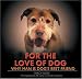 For the Love of Dog: 100 Reasons Why Man Is Dog's Best Friend