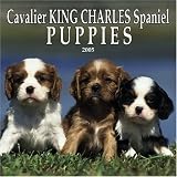 Cavalier King Charles Spaniel Puppies 2005 Wall Calendar