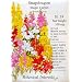 Snapdragon Seeds Magic Carpet