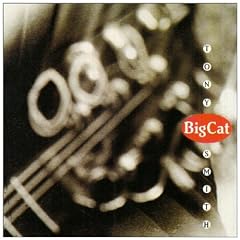 Big Cat