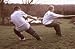 75' Unmanila Tug-O-War Rope