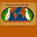 Search : Bubulcus and Ibis: The Extraordinary Journey of the Egrets From Africa