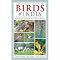 Birds (Indian Subcontinent)