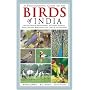 A Photographic Guide to the Birds of India: And the Indian Subcontinent, Including Pakistan, Nepal, Bhutan, Bangladesh, Sri Lanka, and the Maldives (Princeton Field Guides)