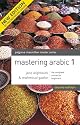 Mastering Arabic 1 (Palgrave Master Series (Languages))