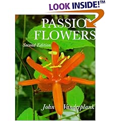 Passion Flowers