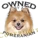   - Pomeranian 