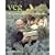 Veg: The Greengrocer's Cookbook
