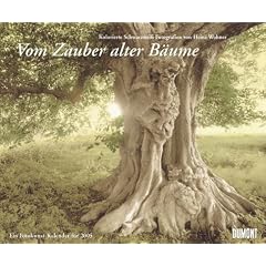 Vom Zauber alter B�ume, Kalender 2005