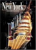 High Above New York (World from the Air)