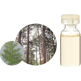 �����̖� C �a���� �q�m�L �G�b�Z���V�����I�C�� 10ml�yHTRC3�z