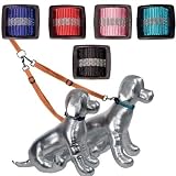 Designer Dog Leash - Reflective Multi-Walker Leash - 1" Width - Multiple Colors