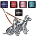Dog Collars, Fun Neckwear, Harnesses & Leads