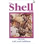 The Shell Book: Florida, Gulf, and the Caribbean