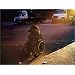 Paul Graham: American Night