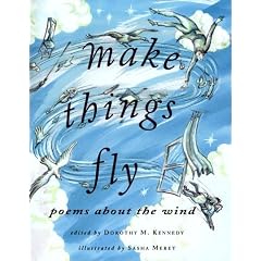 Make Things Fly: Poems About The Wind