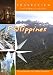 Travelview International  Philippines