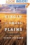 The Virgin of Small Plains: A Novel of Suspense