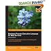 Business Process Execution Language for Web Services