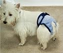 PoochPad Small PoochPant Diaper
