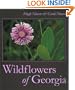 Wildflowers of Georgia