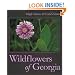 Wildflowers of Georgia
