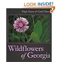 Wildflowers of Georgia