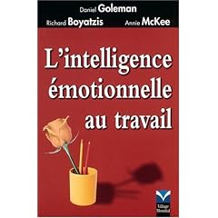 Intelligence emotionnelle au n.ed 406425