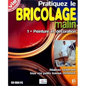 Pratiquez le bricolage malin : Vol 1. Peinture et d�coration