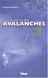 Dans le secret des avalanches : Guide pratique pour l\'estimation du risque