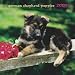 German Shepherd Puppies 2009 Small Wall Calendar