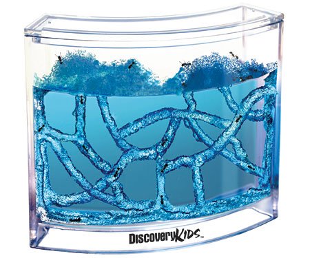 Childrens Toyshop  Toys : Discovery Exclusive Ant Gel Habitat