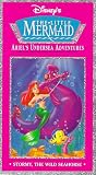 Disneys Sing Along Songs: Stormy Wild Seahorse