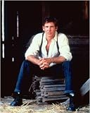 Harrison Ford - Movie Poster / Print -- Custom Framing Available