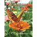 Nature Friend Magazine
