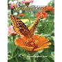 Nature Friend Magazine