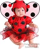 Unique Infant Baby Lady Bug Costume (6 Months)