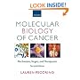 Molecular Biology of Cancer: Mechanisms, Targets, and Therapeutics